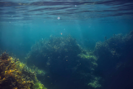 花园 生活 海景 阳光 加勒比 水族馆 潜水 浮潜 全景图