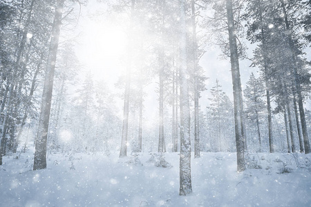 变模糊 季节 自然 魔术 风景 卡片 纹理 庆祝 雪花 白霜