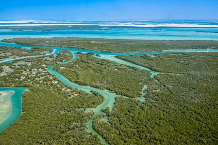 天空 地标 海岸 阿联酋 红树林 植物 海洋 海湾 沼泽