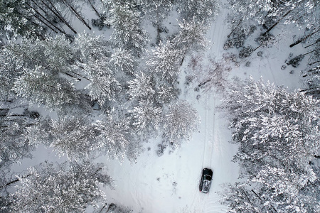 开车 降雪 天气 场景 国家 沥青 森林 冬天 环境 圣诞节