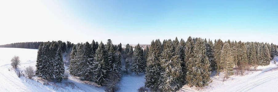 旅游业 环境 冬天 自然 天空 美丽的 寒冷的 森林 乡村
