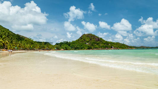 Praslin Seychelles, beach tropical island with palm trees Seyche