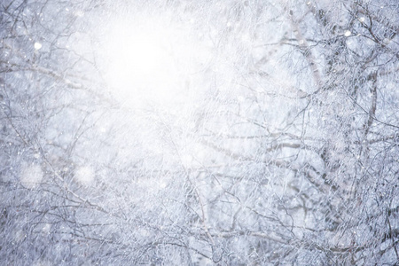 雾凇 新的 纹理 圣诞节 天空 降雪 自然 冻结 庆祝 冬天