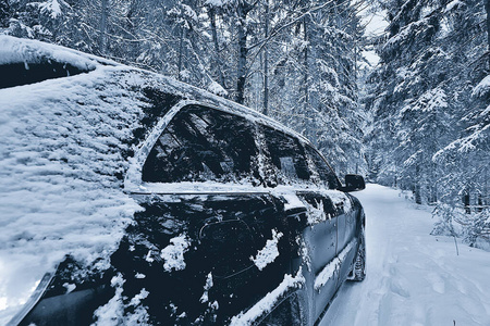 汽车 车辆 轨道 开车 降雪 旅行 森林 道路 芬兰 运动