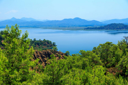 反思 自然 夏天 旅行 风景