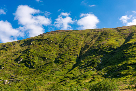 山谷 旅行 落下 早晨 环境 风景 阳光 美丽的 公园 场景