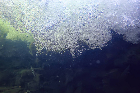 水下 射线 放松 暗礁 深的 潜水 空气 底部 涟漪 海洋