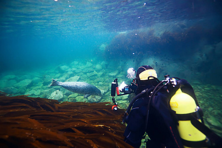 环境 运动 颜色 水肺 动物 假期 照片 潜水员 单反相机
