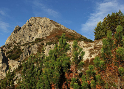 公园 天空 森林 夏天 小山 自然 岩石 旅行 全景图 悬崖