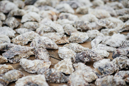 法国人 销售 市场 自然 贝壳 开胃菜 味道 海洋 午餐
