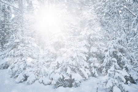 幻想 风景 冰冷的 冬天 庆祝 雪花 变模糊 新的 魔术