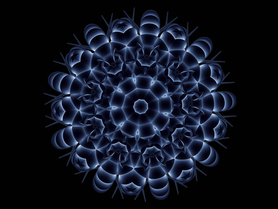 签名 植物 花的 发光 三维 塑造 圆圈 形成