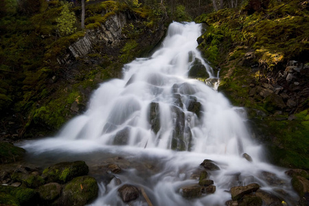 自然 森林 流动 流动的 瀑布 加拿大 卡纳纳斯基斯 岩石