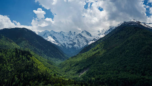 青山白雪皑皑