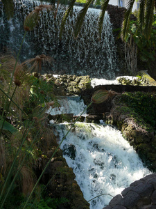 特内里费 自然 西班牙 瀑布 风景 公园 假期 植物学