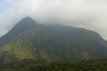 兰涛 大屿山 森林 灌木 自然 薄雾 天空 风景 瓷器