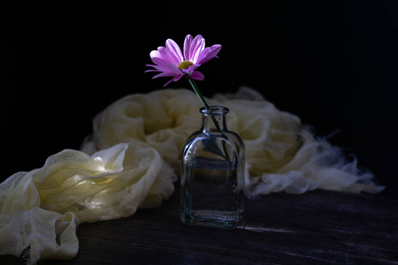 瓶子 玻璃 透明的 菊花 纱布 毛巾