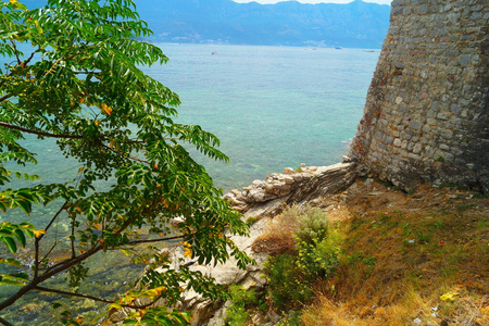 岩石 海滩 海岸 旅游业 旅行 海洋 自然 夏天 天空 风景