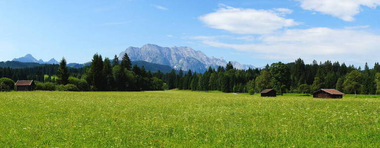 山麓 巴伐利亚 德国 夏天 阿尔卑斯山 草地 自然 风景