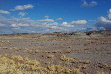 沙漠 美国 荒地 西南 亚利桑那州 苍穹 天空