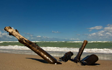 休息 波浪 波罗的海 海滩 海洋 安静 海滨