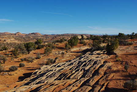犹他州 万里无云 太阳 灌木 美国 沙漠 天空 西南 岩石
