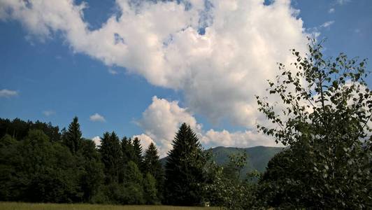 风景 射线 公园 太阳 美丽的 阴影 欧洲 春天 日出 魔术