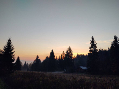 橡树 环境 前景 斯洛伐克 颜色 秋天 早晨 公园 季节
