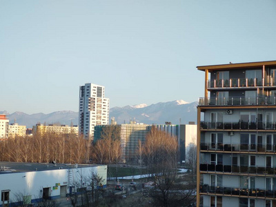 季节 城市 颜色 阳光 森林 风景 太阳 建设 建筑学 春天