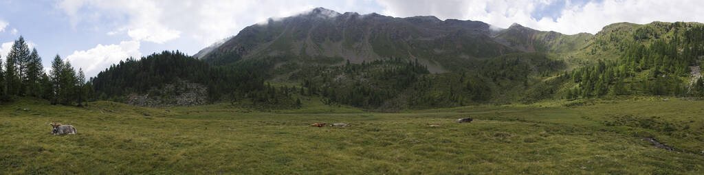 最后 岩石 风景 公司 意大利 阿尔卑斯山 南方 自然 蒂罗尔