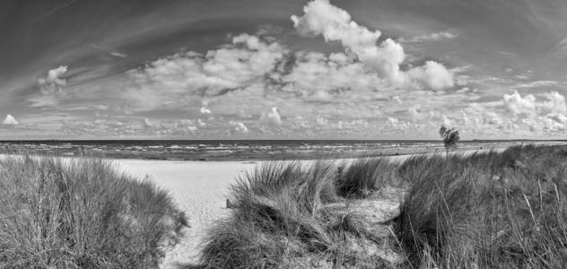 波罗的海 风景 单色 全景图 冲浪 自然 蓝天 海滩 波浪