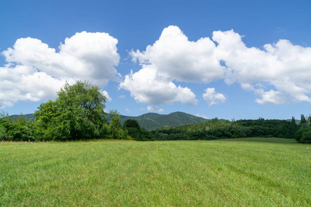 领域 天空 阳光 秋天 城市 太阳 风景 季节 草地 日落