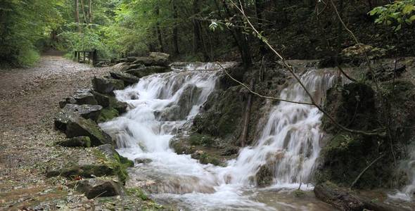 森林 乡村 风景 瀑布 自然 植物 石头