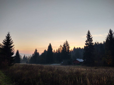 早晨 前景 环境 季节 斯洛伐克 美女 美丽的 场景 公园