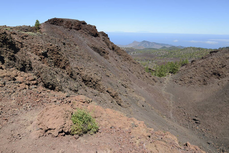 西班牙 泰德 火山作用 金丝雀 特内里费 首脑会议 熔岩