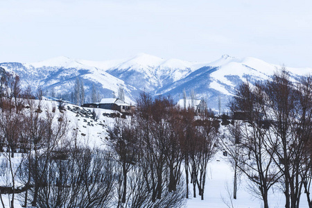 国家 冬天 喀尔巴阡山 自然 风景 天空