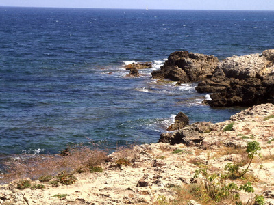 海滨 海洋 岩石 浪涌 冲浪 海滩 地中海