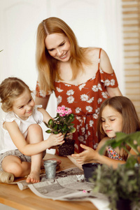 mom and daughters transplanting indoor flowers 