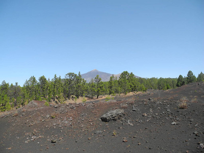 西班牙 火山 德尔 泰德 松树 特内里费 火山作用 首脑会议