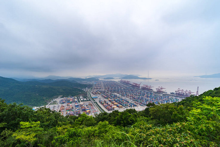 院子 航运 上海 传送 全景 海事 起重机 卸货 中国人