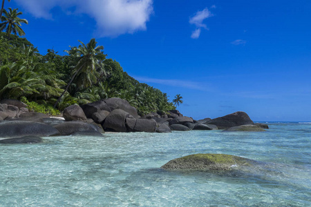 海洋 热带 塞舌尔 花岗岩 海滨 海滩 轮廓 天堂 小岛