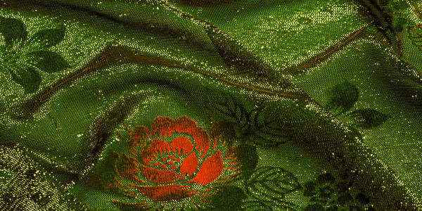 颜色 墙纸 夏天 森林 西瓜 环境 春天 纹理 艺术 植物