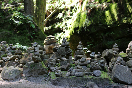 集群 荒野 夏天 太阳 德国 杂草丛生 石头 森林 自然