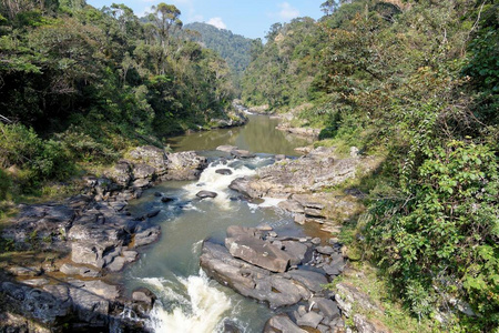 荒野 旅行 非洲 马达加斯加 急流 旅游业 很完美 季节