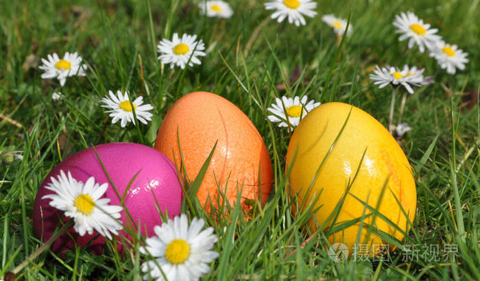 复活节 颜色 草地 传统 食物 黛西 鸡蛋