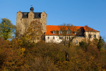 突出 城堡 庄园 安哈尔特 古老的 月亮 德国 建筑 萨克森