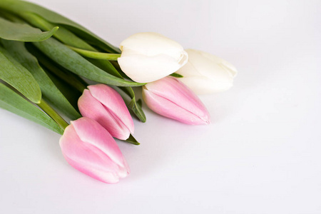 庆祝 前进 植物 浪漫 花的 卡片 母亲 季节 粉红色 盛开