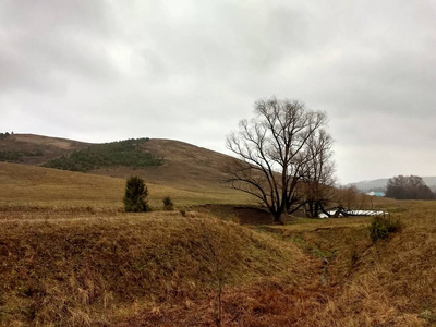 风景 公园 斜坡 自然 天空 美丽的 土地 草地 季节 领域