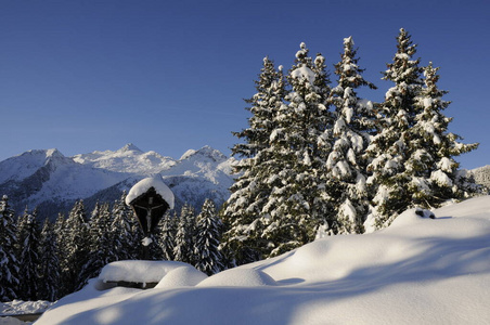 卑尔根 格洛斯 伯格 自然 阿尔卑斯山 冬天 森林 风景