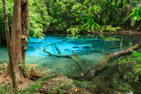普吉岛 假期 矿物 旅行 森林 美丽的 瀑布 泰国 旅行者